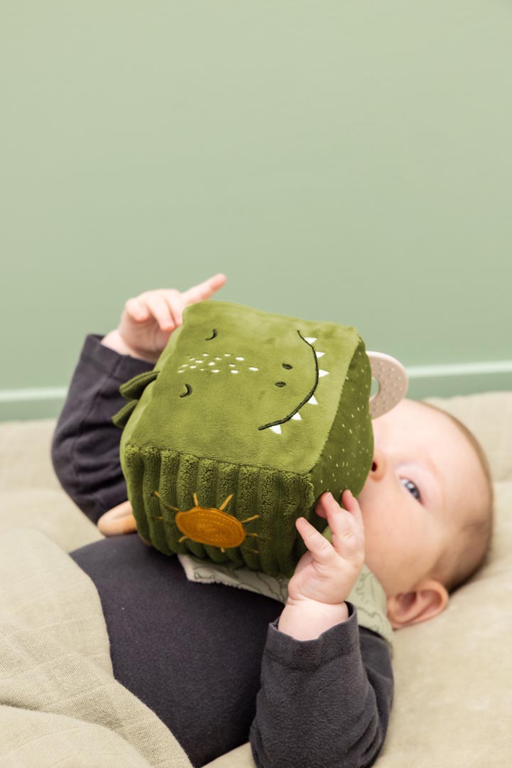 Aktivitätswürfel - Mr. Dino